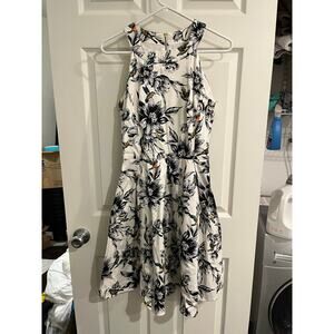 cb Dress Hummingbird Fit And Flare Size 8